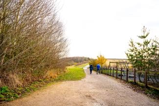 Gedling Country Park