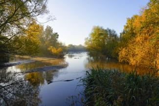 Nottinghamshire countryside