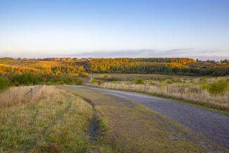 Gedling Country Park