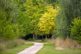 Rushcliffe Country Park