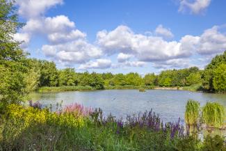 Rushcliffe Country Park 3