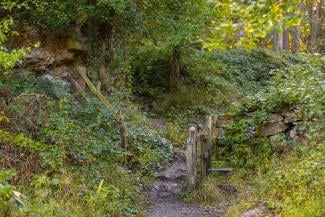 Calke Lime Pits Melbourne Calke Lime Pits Melbourne