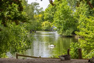 Arnot Hill Park