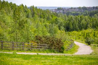 View of Gedling Country Park