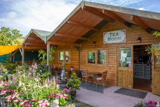 Spring Ridge Nursery and Tea Room, Crowle