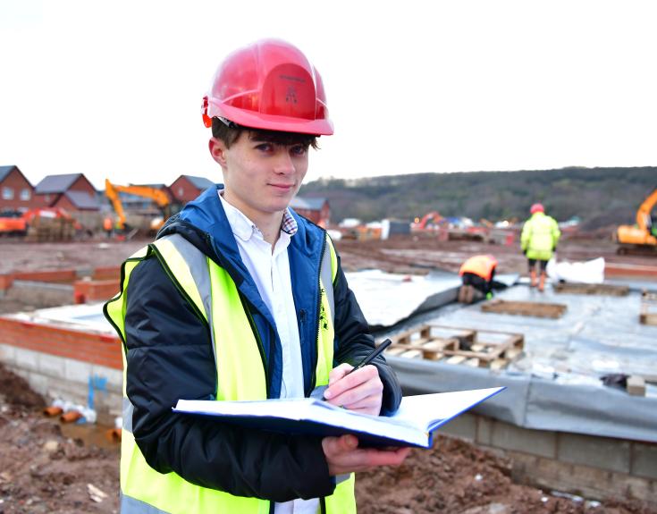taryn trainee estimator