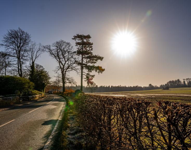 Bomere Heath countryside