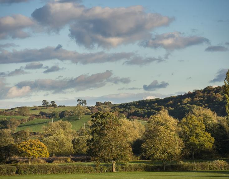 Brailsford, countryside view