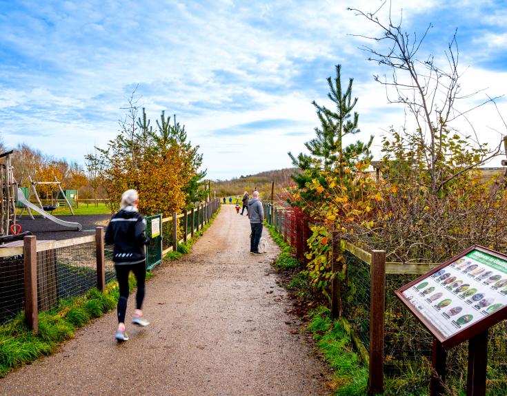 Gedling Country Park