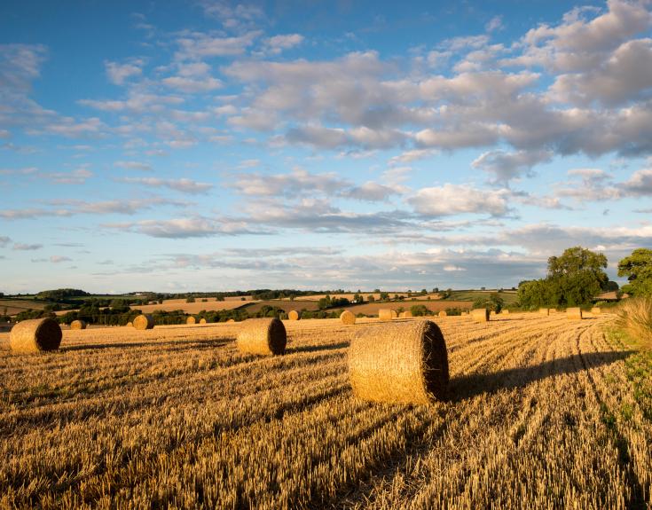 Hay bales, Breedon