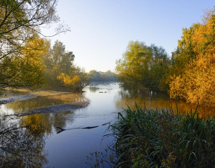 Nottinghamshire countryside