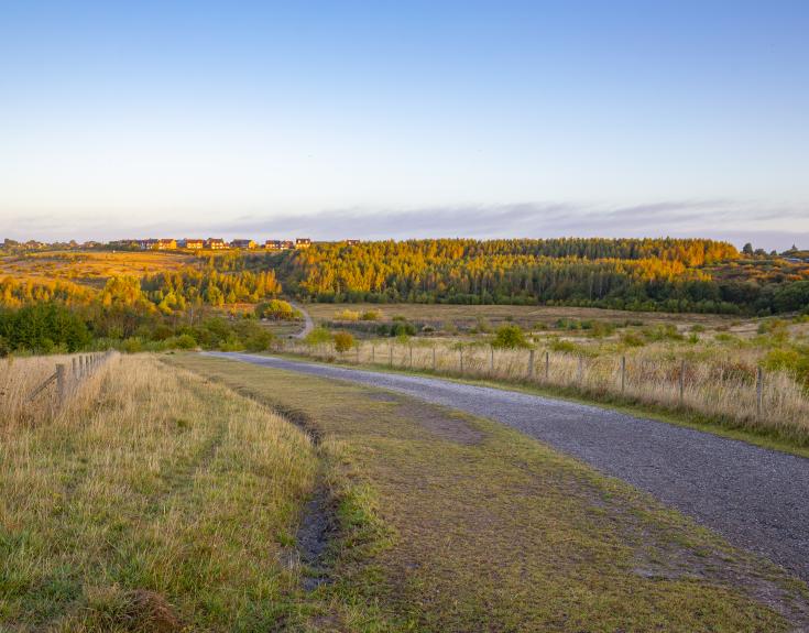 Gedling Country Park