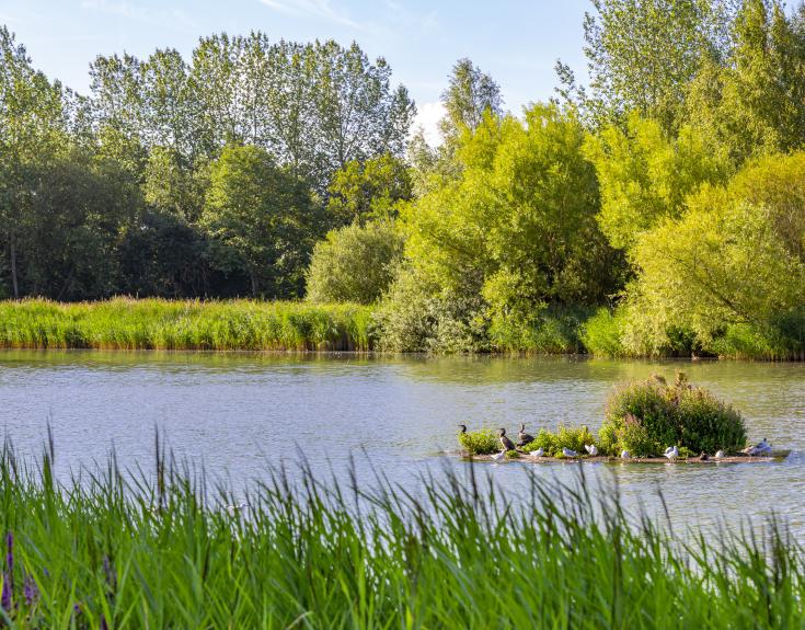 Rushcliffe Country Park