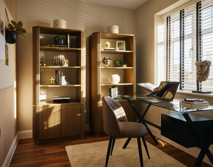 Mapperley Meadows Study