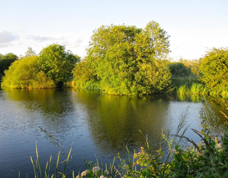 Attenborough Nature Reserve
