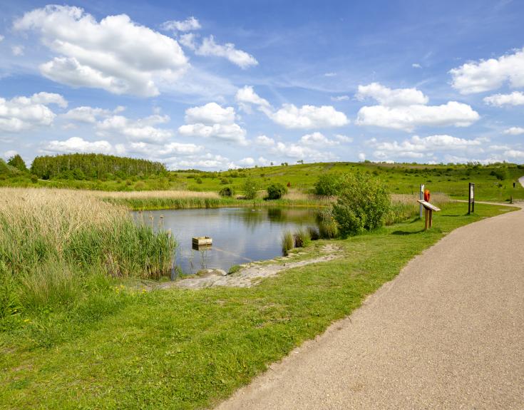 Walking trail at Gedling Country Park