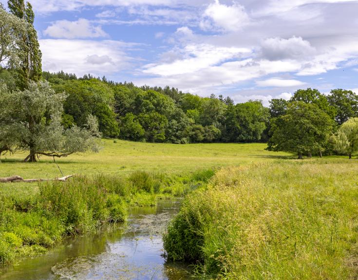 Bow Wood, Crowle
