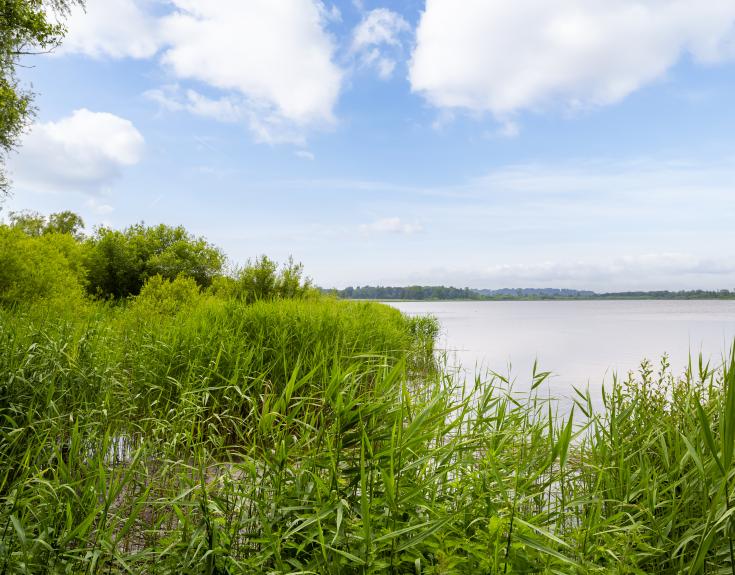 Newport, Aqualate Mere National Nature Reserve